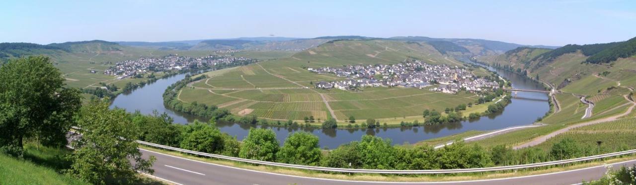 Galerie Riesling Hotell Trittenheim Exteriör bild